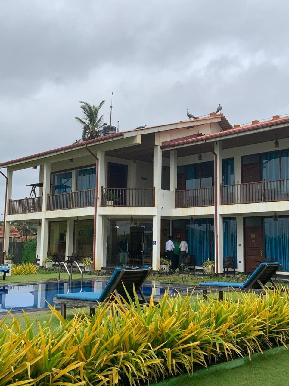 Calypso Sunset Hotel Iranawila ภายนอก รูปภาพ
